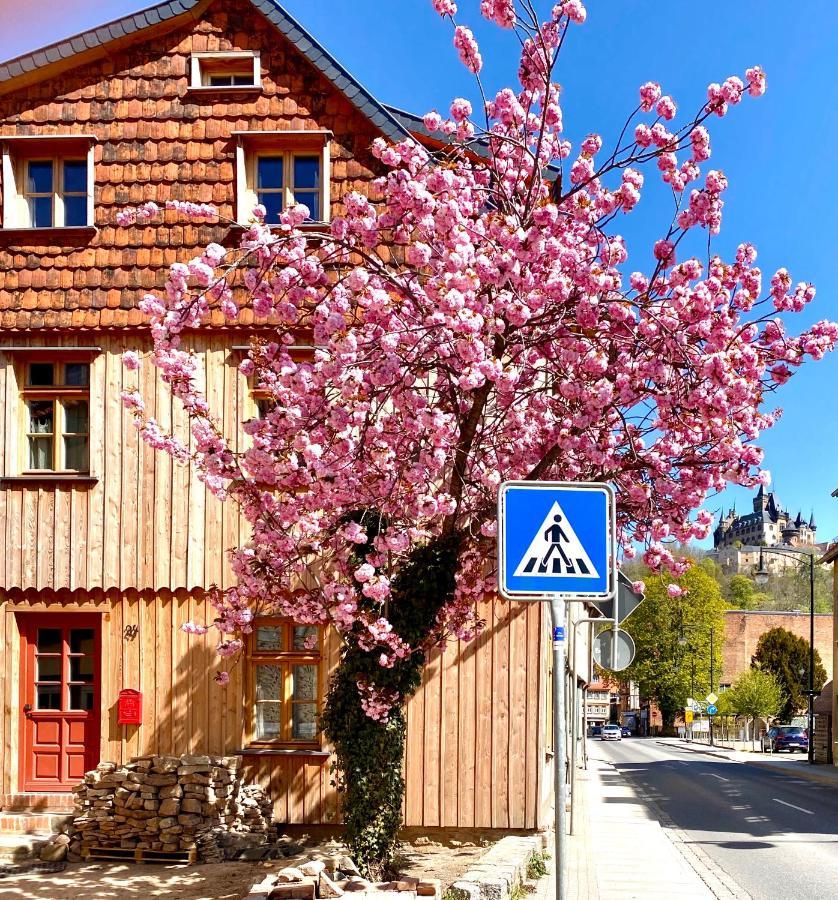 Exklusive Oekologische Ferienwohnung , Innenstadt, Dg 韦尼格罗德 外观 照片